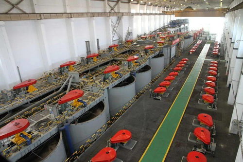 金川集团选矿厂 跑出科技创新加速度，引领金属矿业批发新篇章